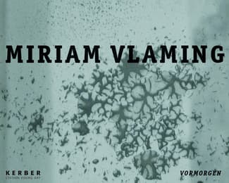 Cover von Vormorgen