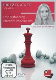 Cover von Understanding Material Imbalances