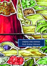 Cover von Inking the Stones