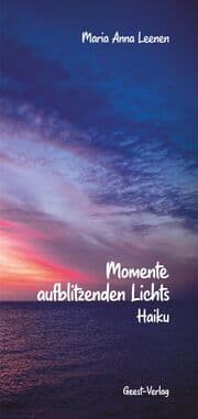 Cover von Momente aufblitzenden Lichts