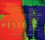 Cover von Hesse Projekt 2 'Verliebt in die verrückte Welt'