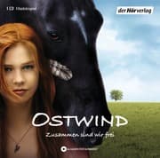 Cover von Ostwind
