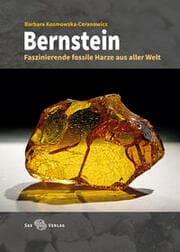 Cover von Bernstein