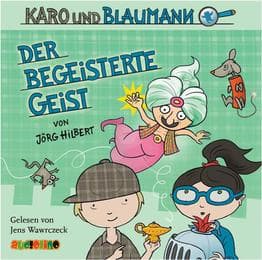 Cover von Der begeisterte Geist