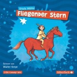 Cover von Fliegender Stern