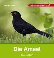 Cover von Die Amsel