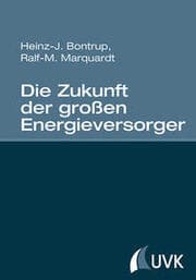 Cover von Die Zukunft der großen Energieversorger