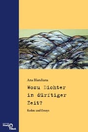 Cover von Wozu Dichter in dürftiger Zeit?
