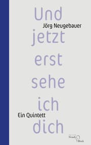 Cover von Und jetzt erst sehe ich dich