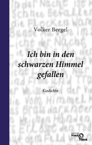 Cover von Ich bin in den schwarzen Himmel gefallen