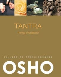 Cover von Tantra - Der Weg des Akzeptierens