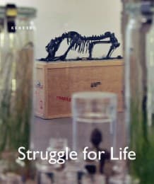 Cover von Struggle for Life