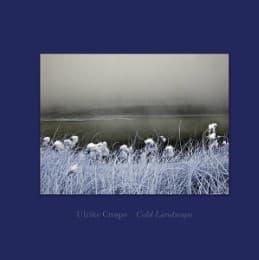 Cover von Cold Landscape
