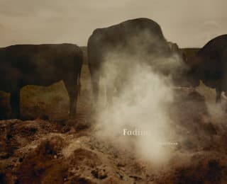 Cover von Fading