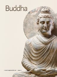 Cover von Buddha