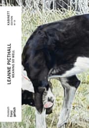 Cover von Leanne Picthall. Meaning So Well