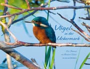 Cover von Vögel in der Uckermark
