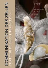 Cover von Die gesteuerte Knochenregeneration