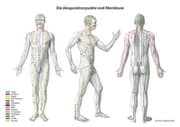 Cover von Lernposter - Die Akupunkturpunkte und Meridiane
