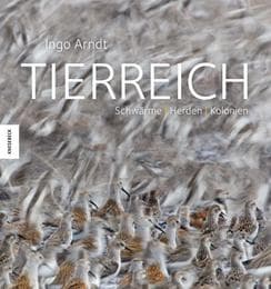 Cover von Tierreich