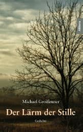 Cover von Der Lärm der Stille