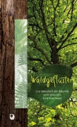 Cover von Waldgeflüster