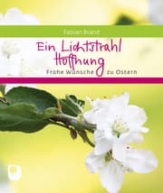 Cover von Ein Lichtstrahl Hoffnung