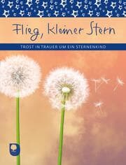 Cover von Flieg, kleiner Stern