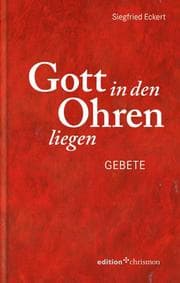 Cover von Gott in den Ohren liegen