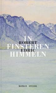 Cover von In finsteren Himmeln
