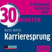 Cover von 30 Minuten Karrieresprung