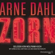 Cover von Zorn