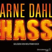 Cover von Hass (Opcop-Gruppe 4)