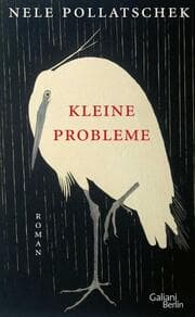 Cover von Kleine Probleme
