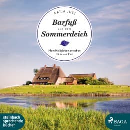 Cover von Barfuß auf dem Sommerdeich