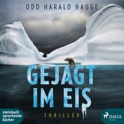 Cover von Gejagt im Eis