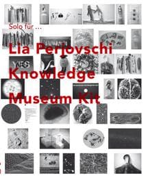 Cover von Lia Perjovschi