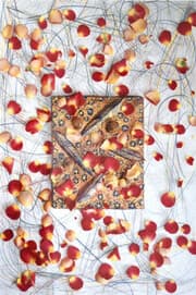 Cover von Dreisam