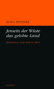 Cover von Jenseits der Wüste das gelobte Land