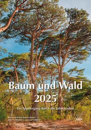 Cover von Baum und Wald 2025
