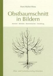 Cover von Obstbaumschnitt in Bildern