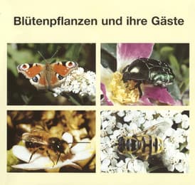 Cover von Blütenpflanzen und ihre Gäste 1