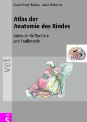Cover von Atlas der Anatomie des Rindes
