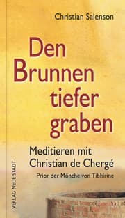 Cover von Den Brunnen tiefer graben