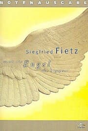 Cover von Wenn ein Engel dir begegnet