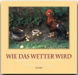 Cover von Wie das Wetter wird