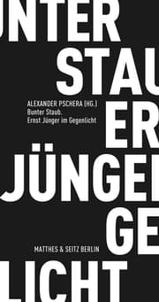 Cover von Bunter Staub - Ernst Jünger im Gegenlicht
