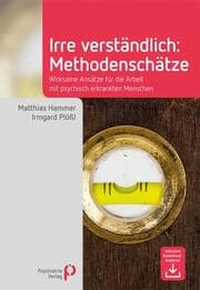 Cover von Irre Verständlich: Methodenschätze