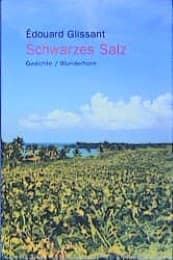 Cover von Schwarzes Salz