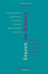 Cover von Storch im Schnee